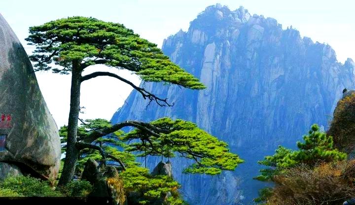 安徽旅游攻略:畅游景点的交通秘籍(图1) 安徽旅游攻略:畅游景点的交通秘籍(图1)